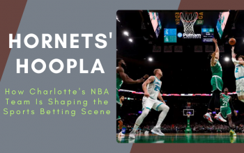 Hornets' Hoopla How Charlotte's NBA Team Is Shaping the Sports Betting Scene