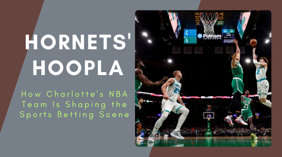 Hornets' Hoopla How Charlotte's NBA Team Is Shaping the Sports Betting Scene