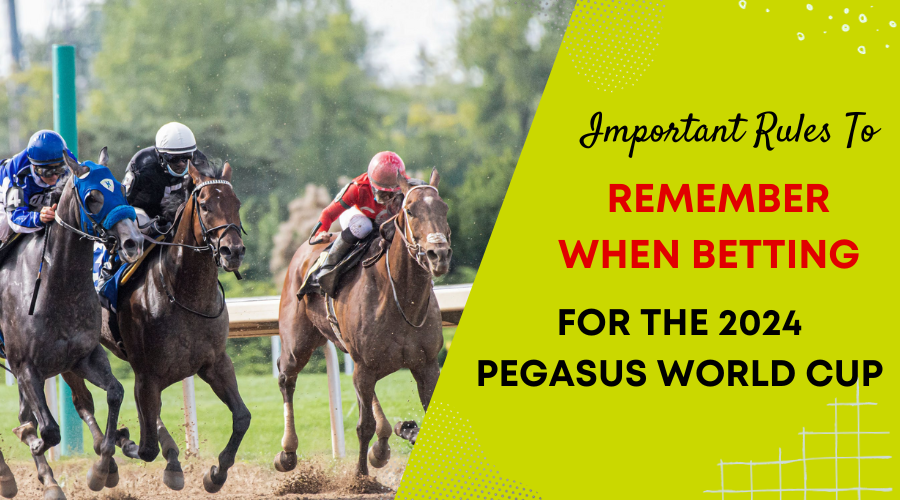 Important Rules To Remember When Betting For The 2024 Pegasus World Cup